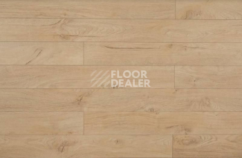 Ламинат Kronopol Platinium Cuprum d3325 Дуб Верона фото 1 | FLOORDEALER